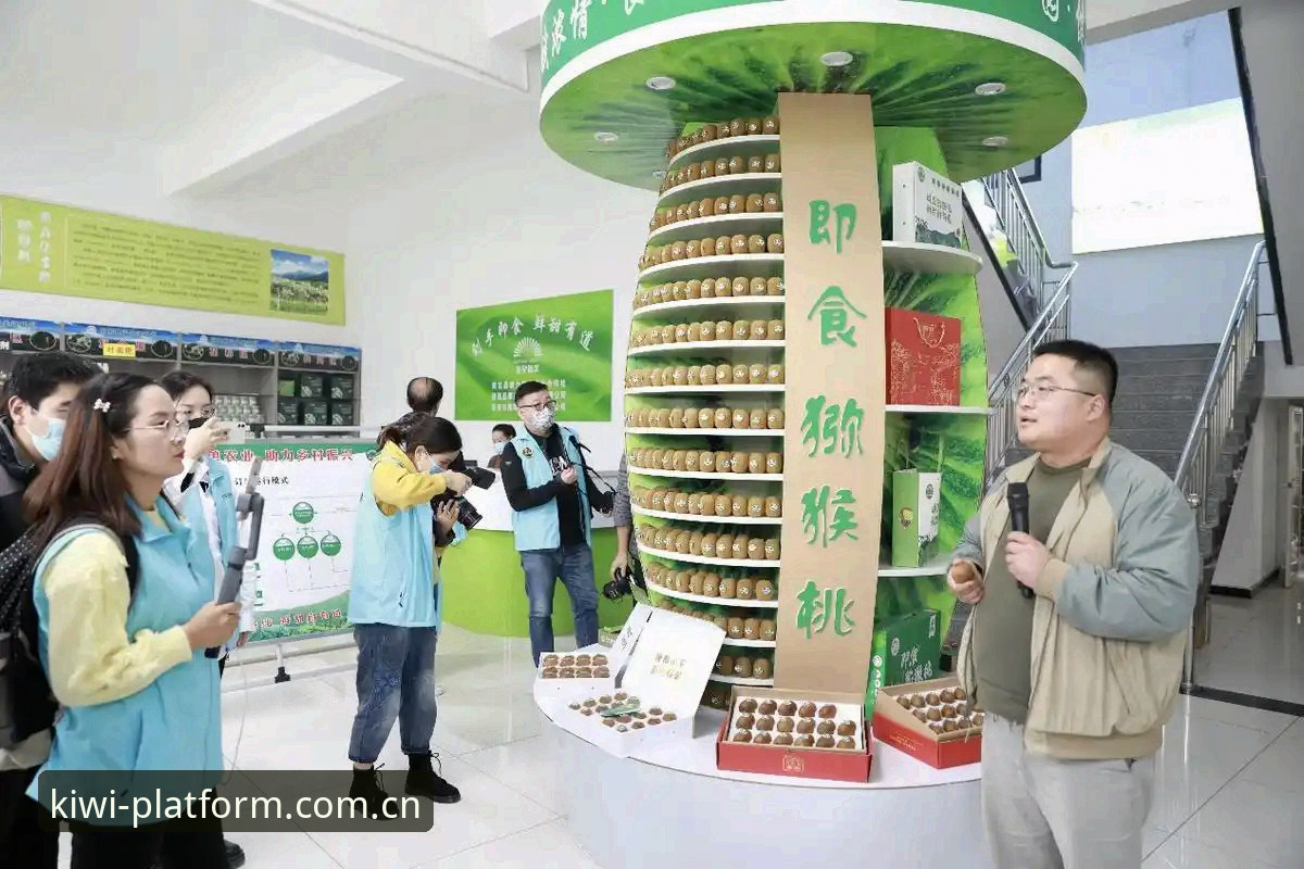 奇异果体育2026功能评测深度分析：从用户痛点看版本迭代的价值